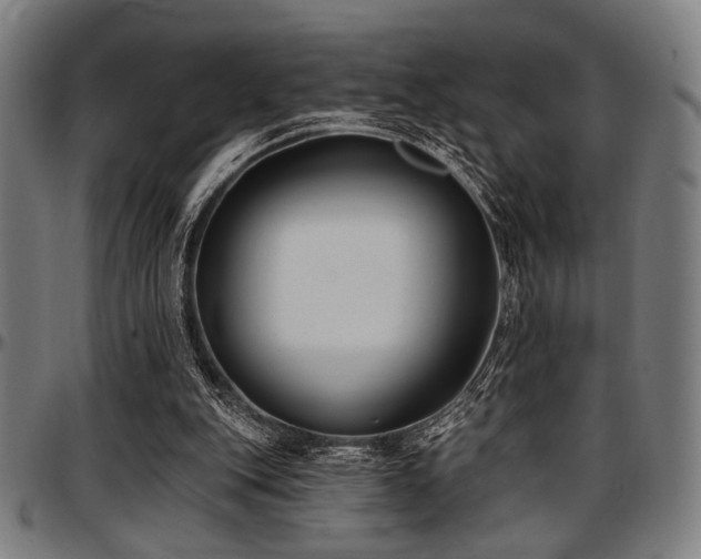 X0000097590151200802291227