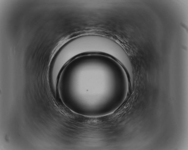 X0000097590152200802291227