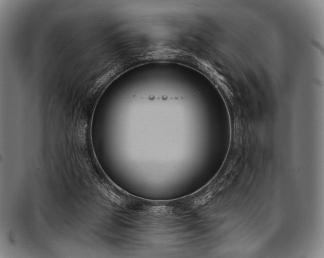 X0000097590153200802291227