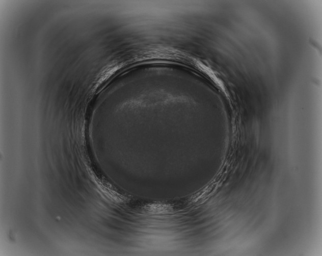 X0000097590154200802291227