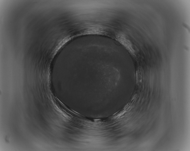X0000097590156200802291227