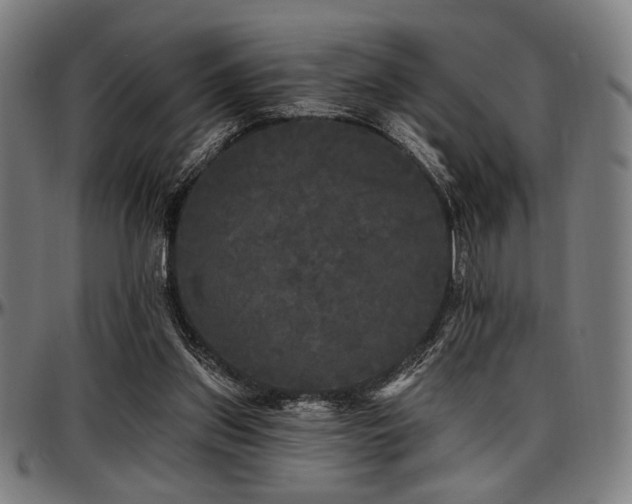 X0000097590157200802291227