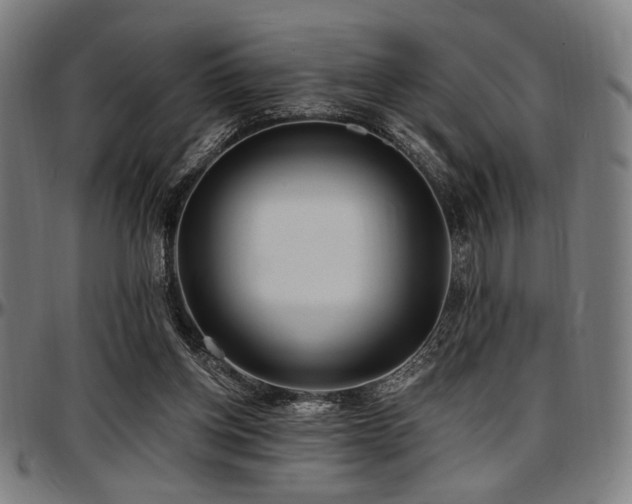 X0000097590158200802291227