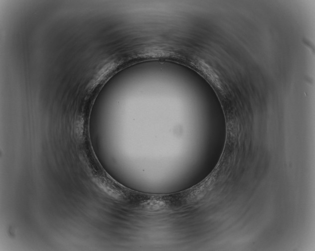 X0000097590159200802291227