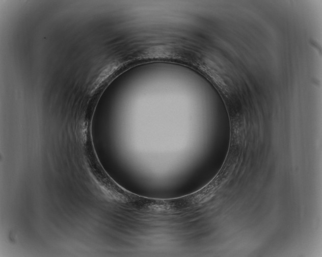 X0000097590160200802291227