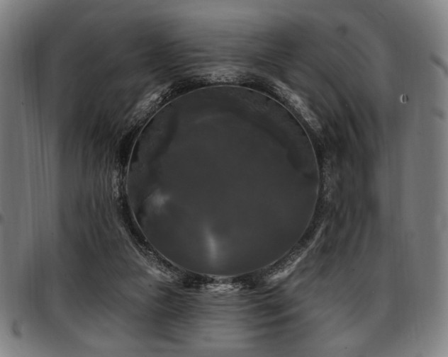 X0000097590161200802291227