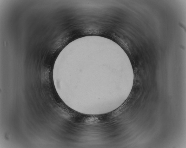 X0000097590162200802291227