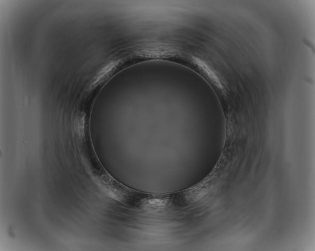 X0000097590163200802291227