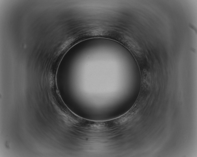 X0000097590164200802291227