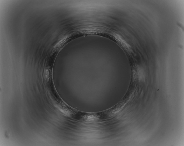 X0000097590165200802291227