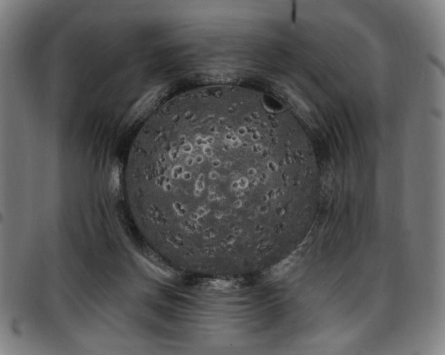 X0000097590166200802291227