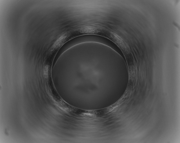 X0000097590167200802291227
