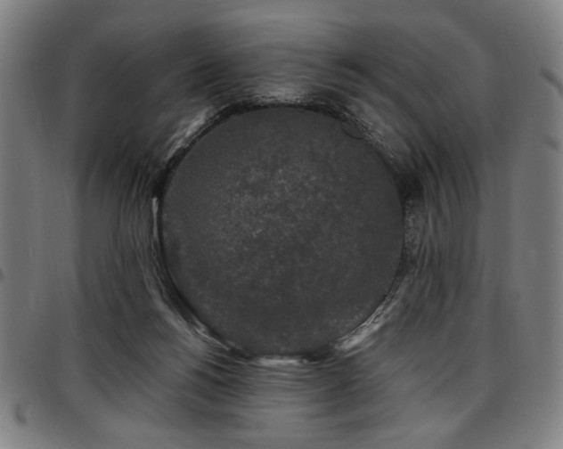 X0000097590168200802291227