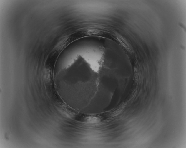 X0000097590169200802291227