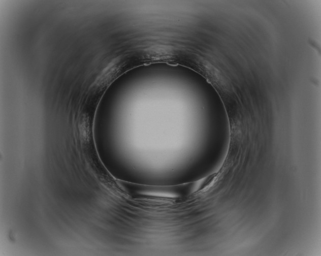 X0000097590170200802291227