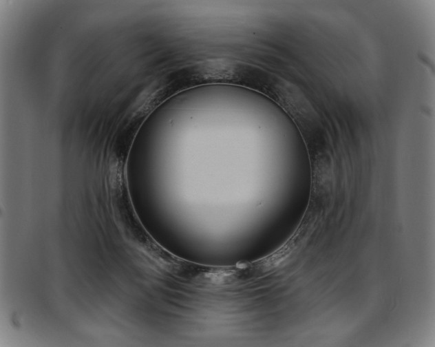 X0000097590172200802291227