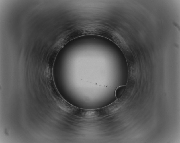 X0000097590173200802291227