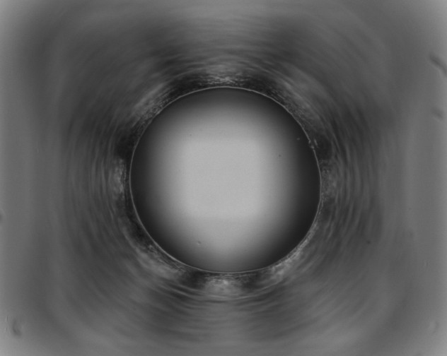X0000097590174200802291227