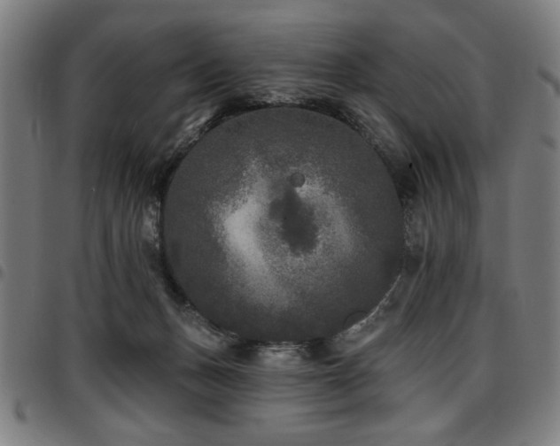 X0000097590175200802291227