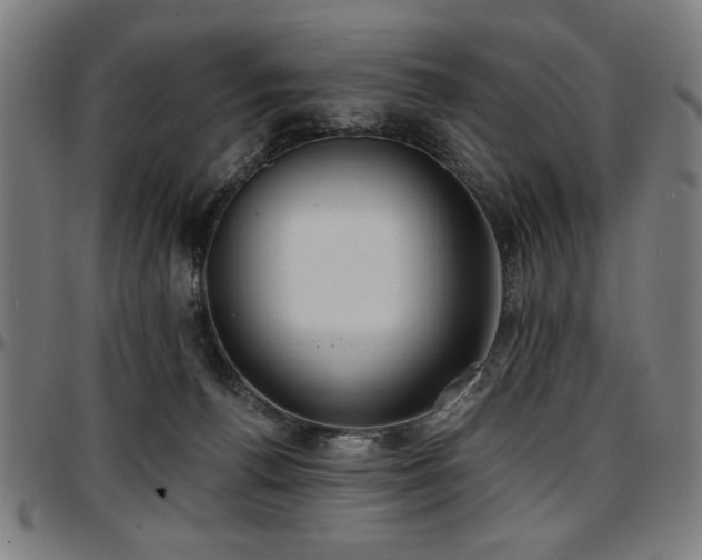 X0000097590176200802291228