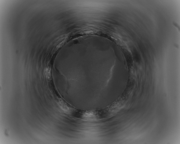 X0000097590177200802291228