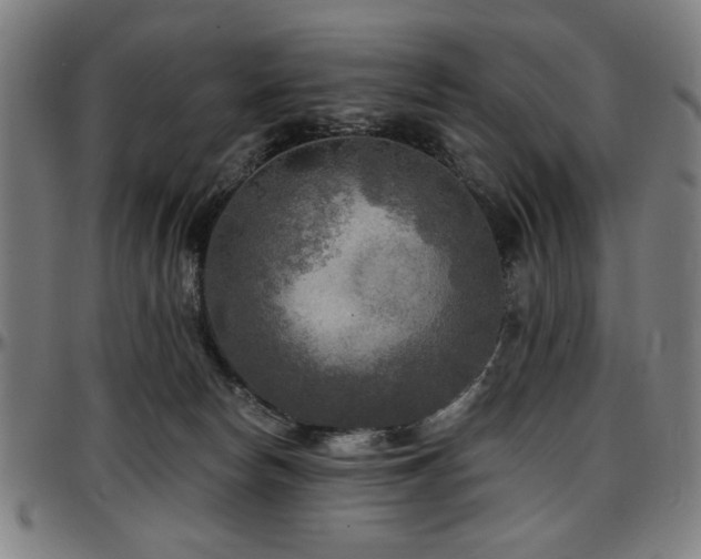X0000097590178200802291228