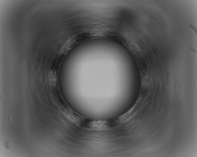 X0000097590179200802291228