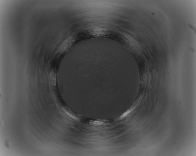 X0000097590180200802291228