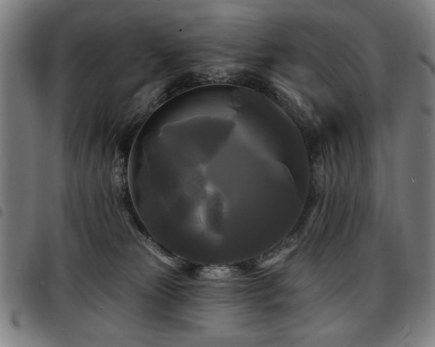 X0000097590181200802291228