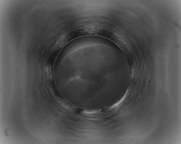 X0000097590182200802291228