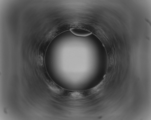 X0000097590183200802291228
