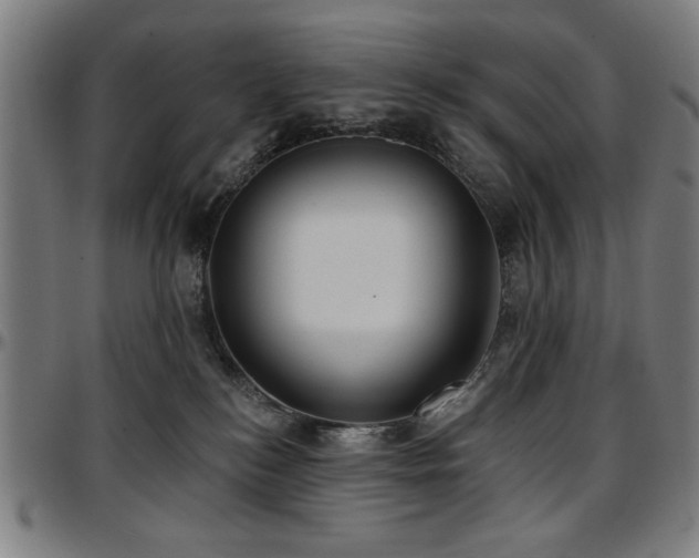 X0000097590184200802291228
