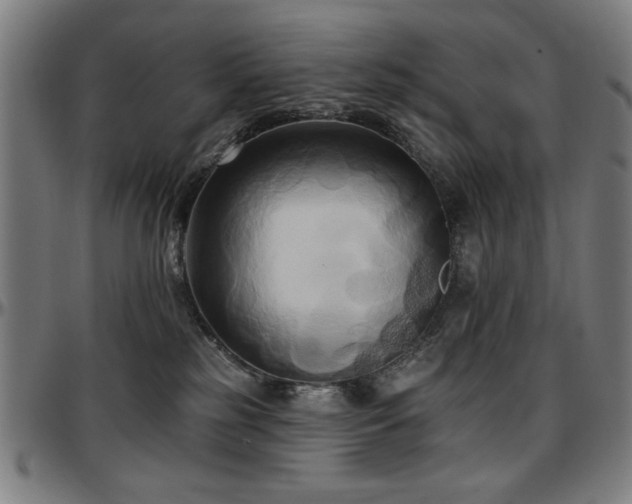 X0000097590185200802291228