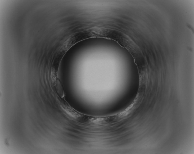 X0000097590186200802291228
