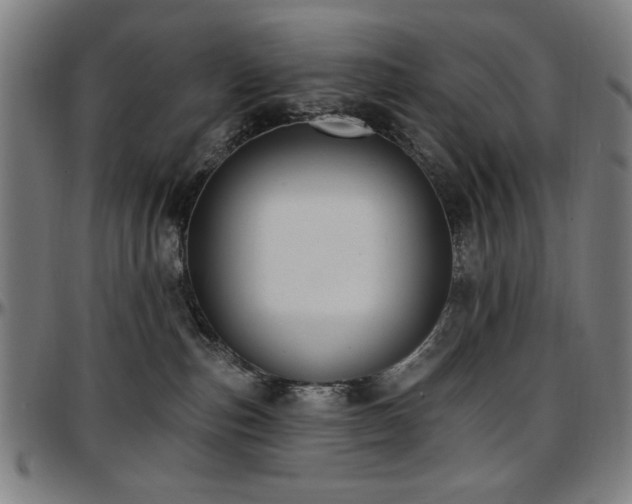 X0000097590187200802291228