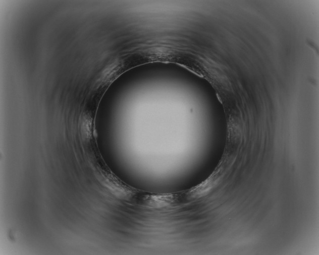 X0000097590188200802291228