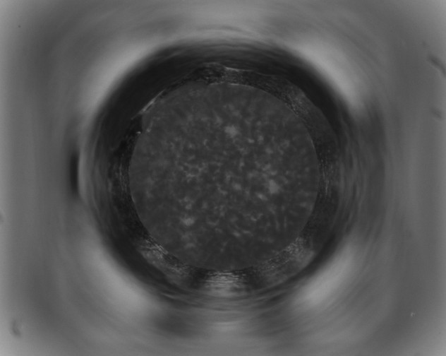 X0000097590189200802291228