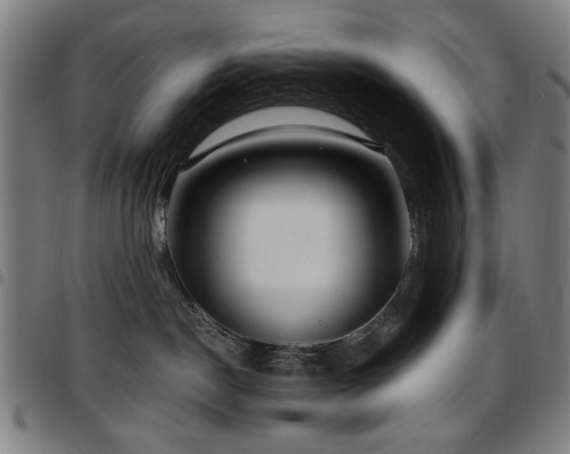 X0000097590190200802291228