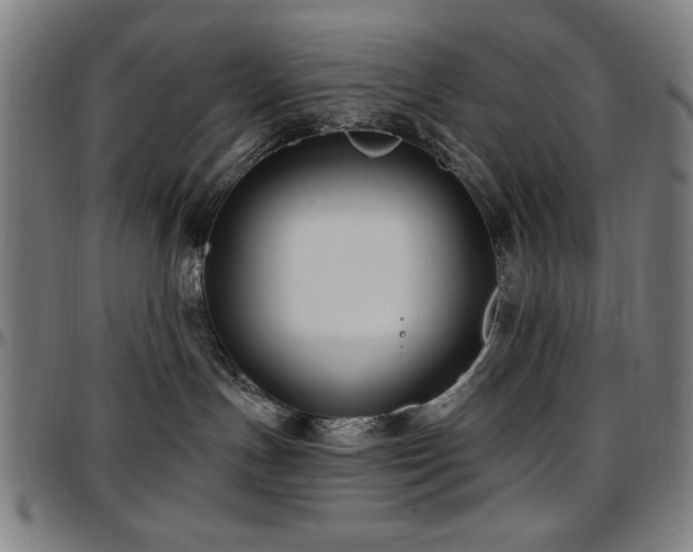 X0000097590191200802291228