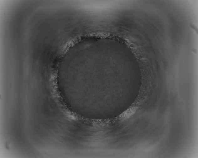 X0000097590192200802291228