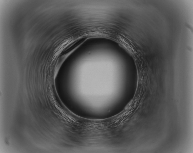 X0000097590193200802291227