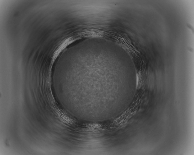X0000097590195200802291227