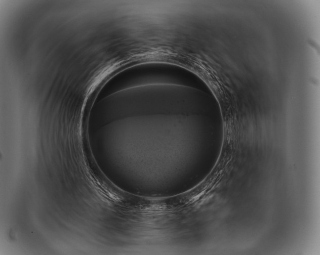 X0000097590196200802291227