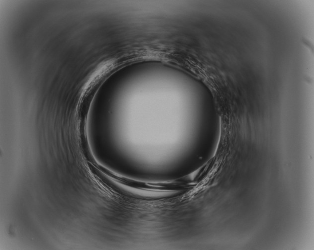 X0000097590197200802291227