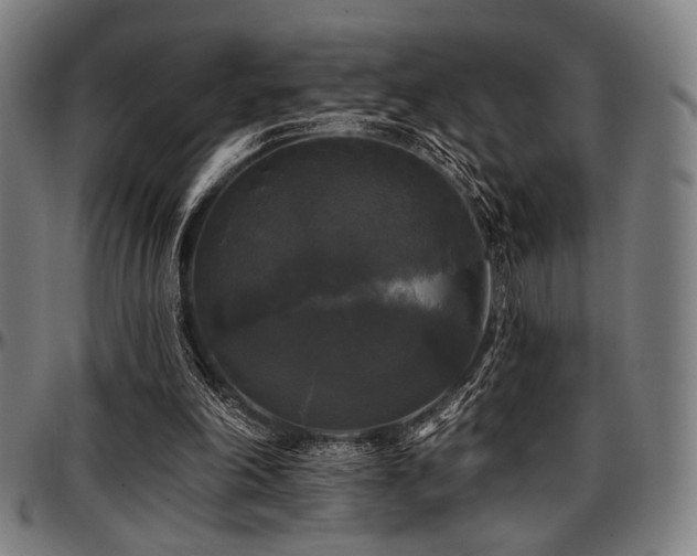 X0000097590198200802291227