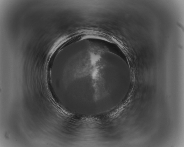 X0000097590199200802291227