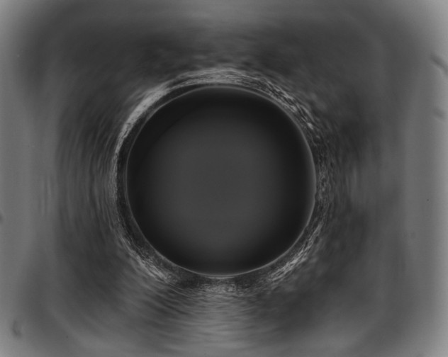 X0000097590200200802291227