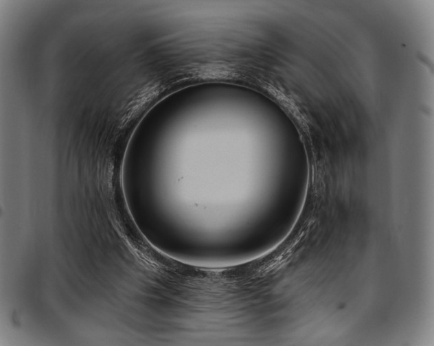 X0000097590201200802291227