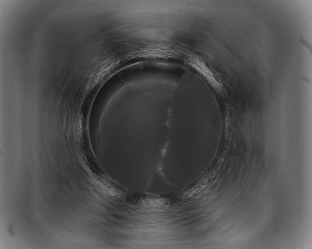 X0000097590202200802291227