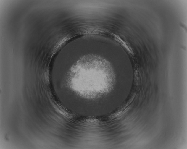 X0000097590203200802291227
